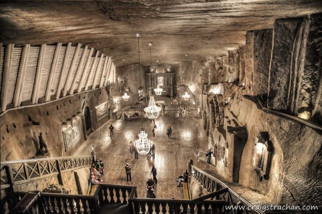 cds-cds-IMG_8736_proc